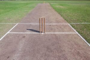 Cricket Pitch I Types Of Cricket Pitches I Cricketfile