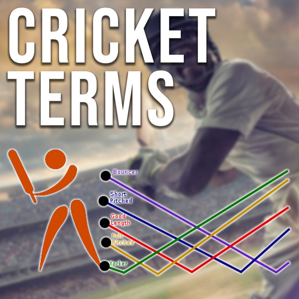 Cricket Terms I Terms Used In Cricket I Cricket Terminologies